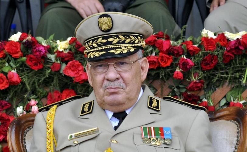 Gaïd Salah : L’Algérie ne tolèrera aucune ingérence