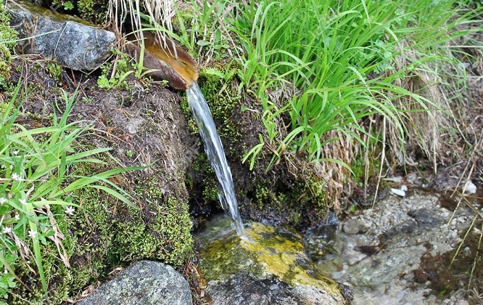 Tipasa : Éradication des sources d’eau suspectes