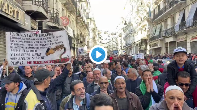 Les manifestants à Alger appellent à une grève générale