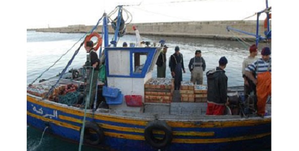 Apparition d’un poisson toxique sur les cotes de Tipasa