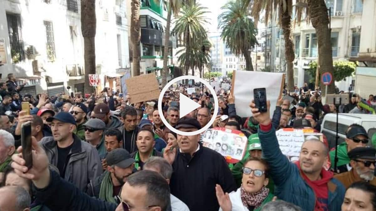 50e vendredi : Des milliers de manifestants investissent la rue à Alger