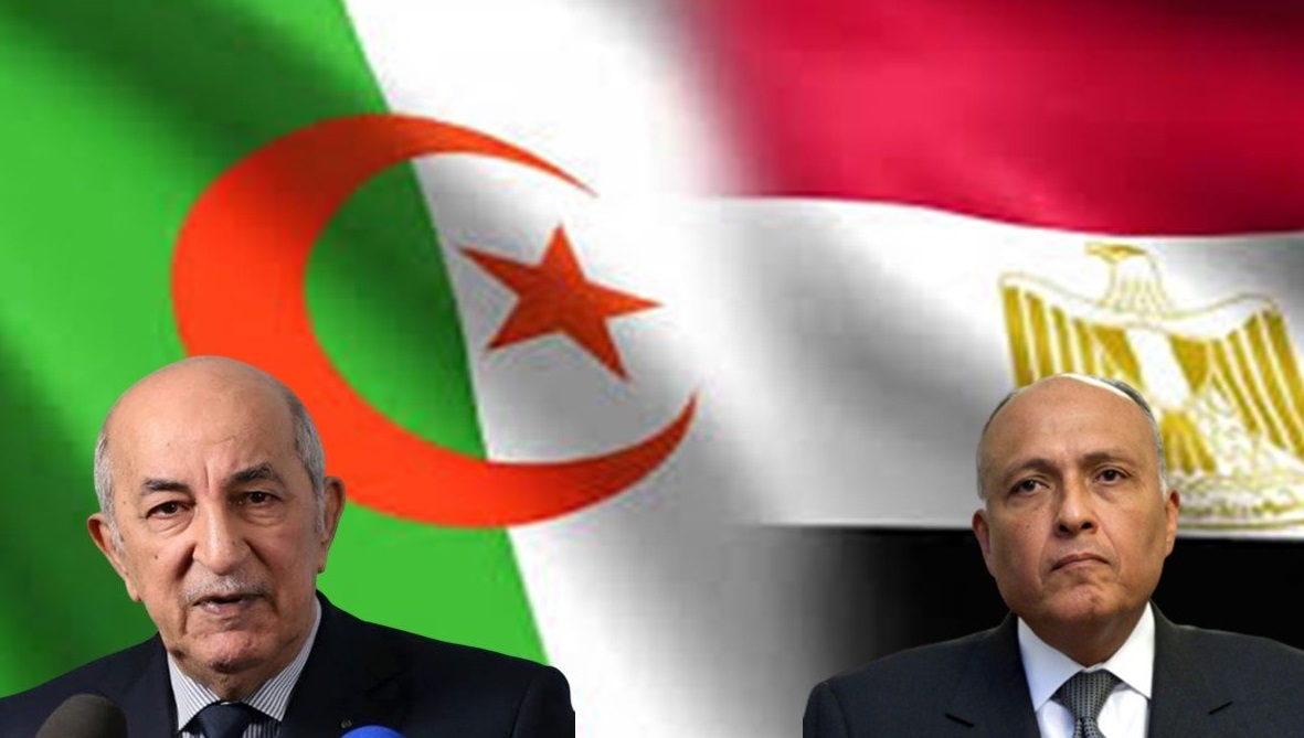 Les détails de la rencontre entre le chef de la diplomatie égyptienne et Tebboune