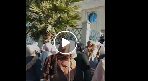 ? Vidéo |sit-in des enseignants devant la direction de l’éducation Alger Ouest