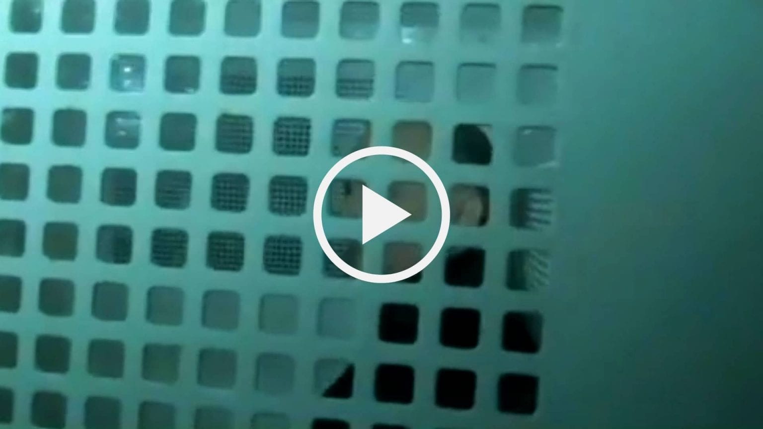 Anis Rahmani arrive menotté au tribunal de Bir Mourad Raïs