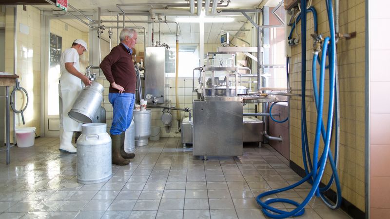 L’Irlande compte s’investir davantage dans le marché laitier algérien