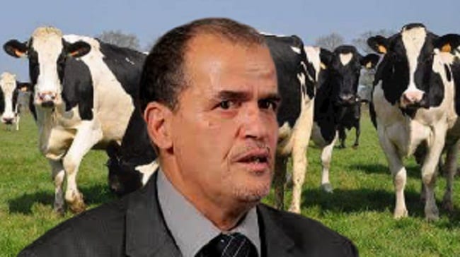 Une possibilité d’importation du bétail en prévision du Ramadan