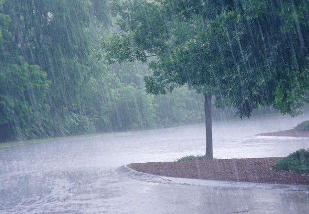 Météo : De la pluie sur plusieurs wilayas du centre et de l’est