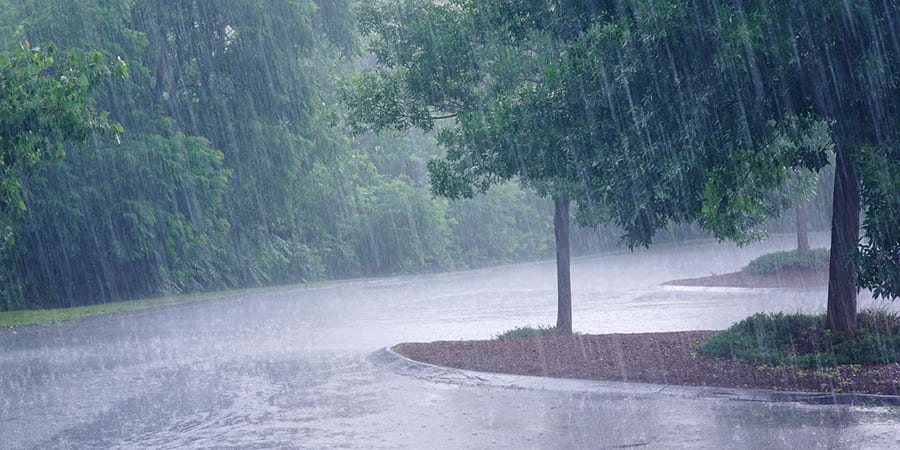 Météo : De la pluie sur plusieurs wilayas du centre et de l’est