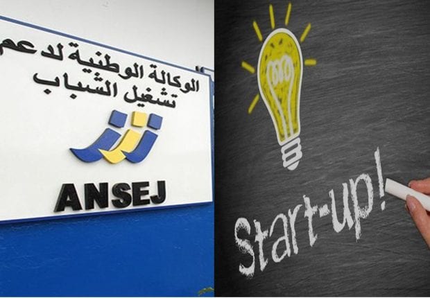 Tebboune décide de rattacher l’ANSEJ au ministère des Micro-entreprises  