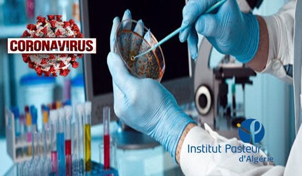 Coronavirus en Algérie : Voici le nombre d&rsquo;échantillons suspects analysés par l&rsquo;Institut Pasteur