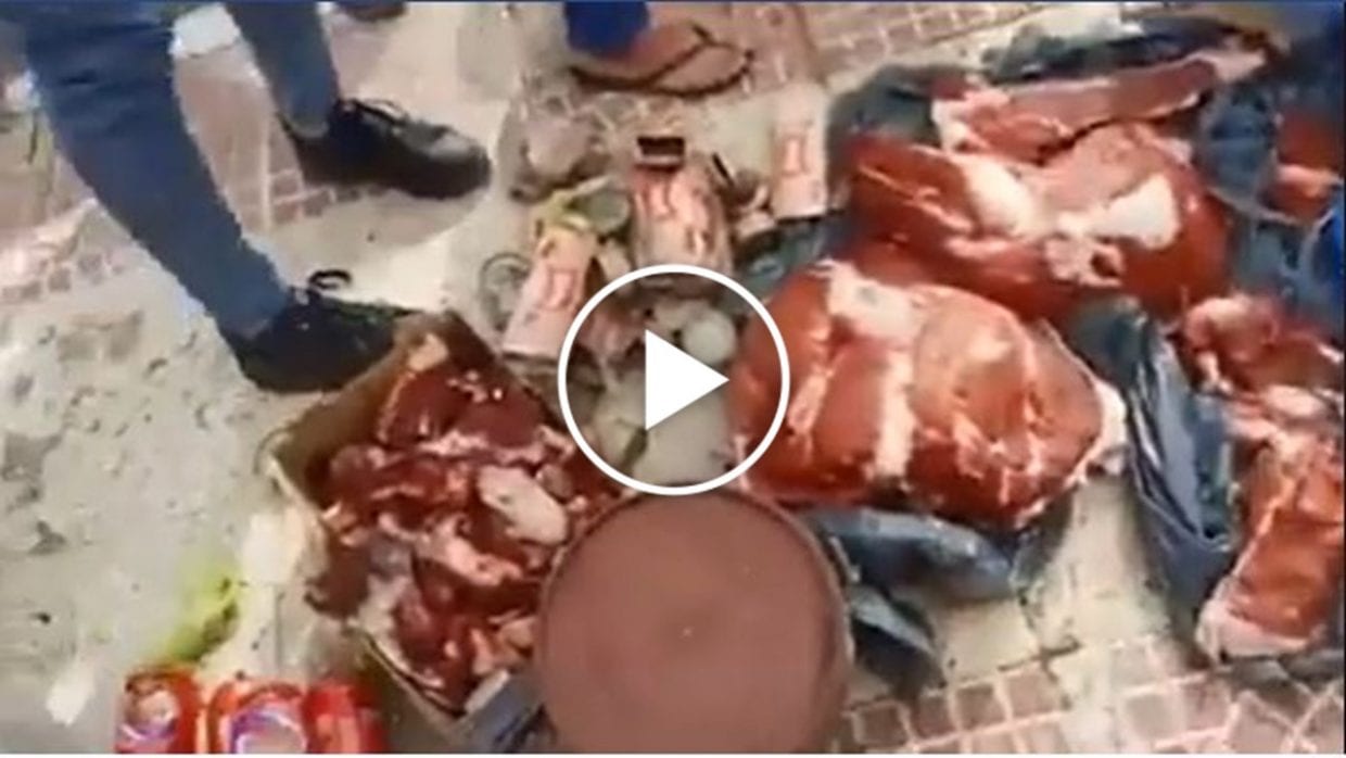 Bordj Bou Arreridj : Un employé vole des denrées alimentaires à l’université (Vidéo)