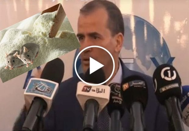 Kamel Rezig : « nous avons découvert des souris dans le lait dans une laiterie à l’est du pays » (Vidéo)