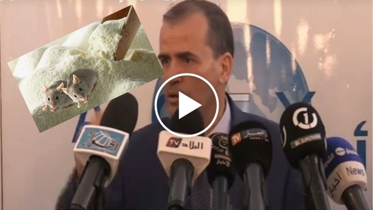 Kamel Rezig : « nous avons découvert des souris dans le lait dans une laiterie à l’est du pays » (Vidéo)