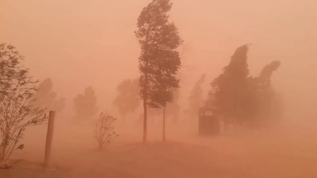 BMS : Vents forts et soulèvements de sable sur plusieurs wilayas du sud