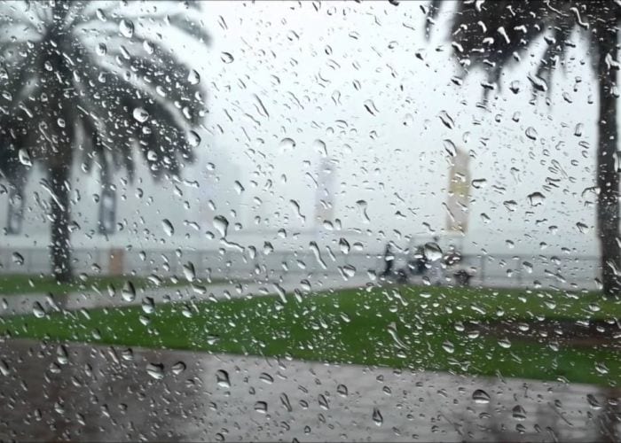 Alerte météo : Des pluies attendues dans plusieus wilayas du pays
