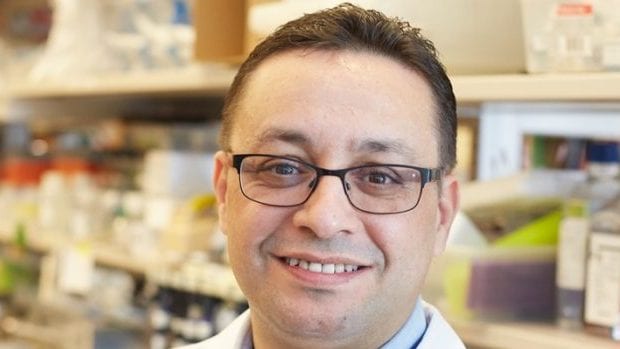 Le professeur Taha Marghoub à Oran pour une formation au profit des médecins  