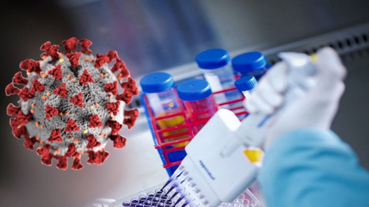 Coronavirus : début de premiers tests d’un vaccin selon l’OMS