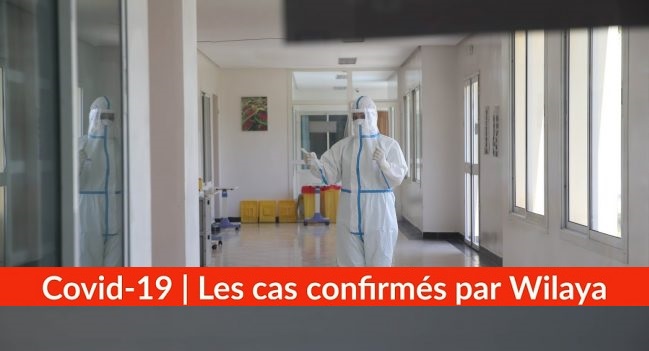 Bilan Coronavirus du 30 avril : Les cas confirmés par wilaya