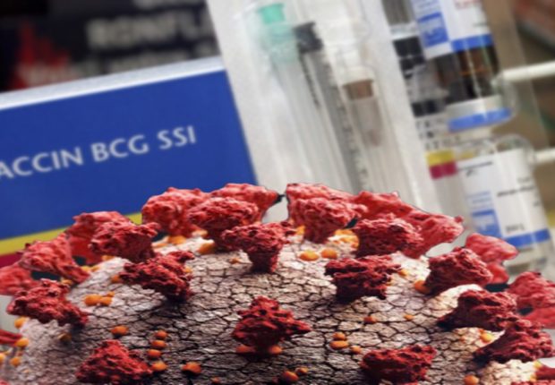Coronavirus : le vaccin BCG contre la tuberculose, serait-il efficace contre le Covid-19 ?