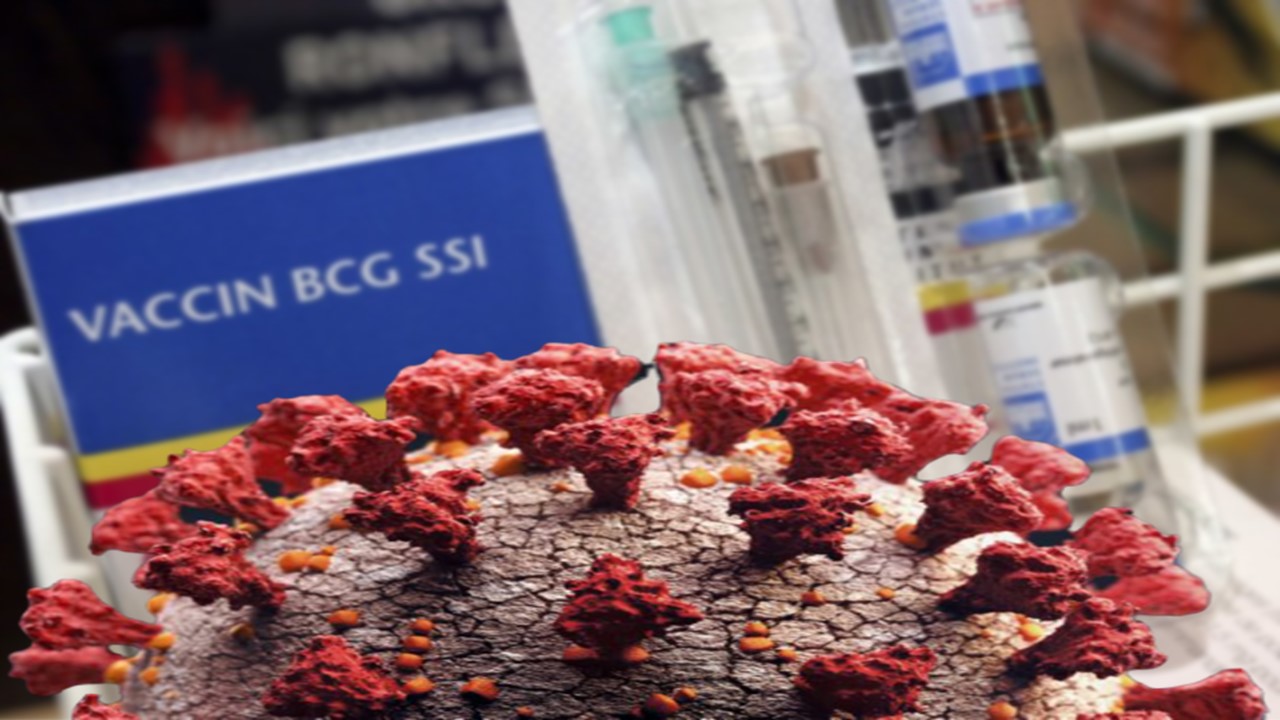 Coronavirus : le vaccin BCG contre la tuberculose, serait-il efficace contre le Covid-19 ?