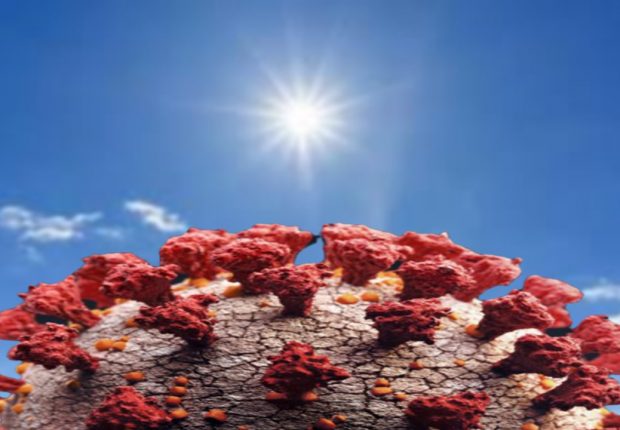 Selon une étude américaine, la chaleur et le soleil pourraient affaiblir le coronavirus