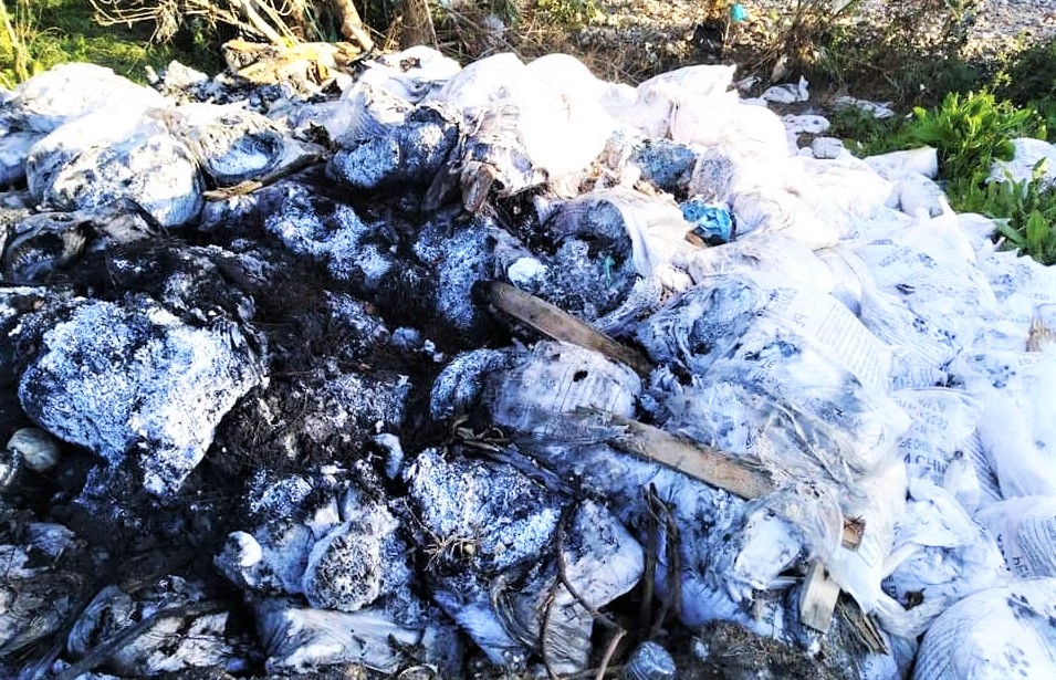 Tizi Ouzou : La rivière Sebaou envahie par des déchets toxiques