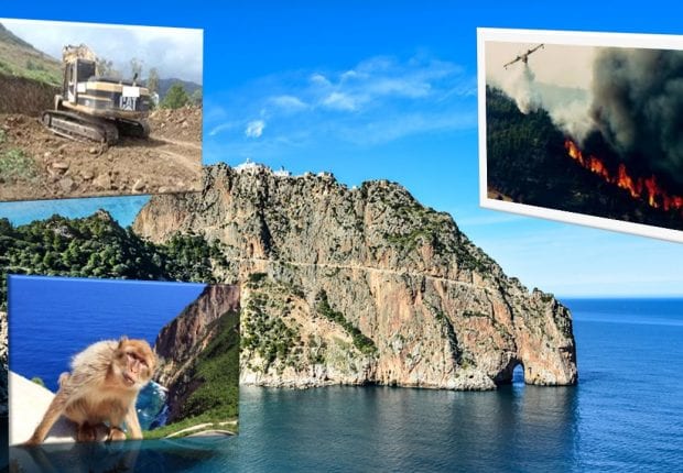 Parc national de Gouraya : les menaces de dégradation persistent