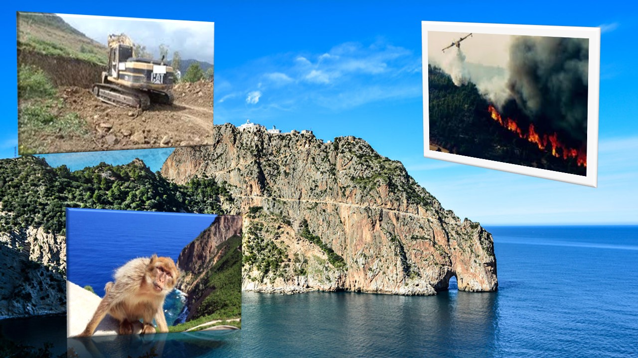 Parc national de Gouraya : les menaces de dégradation persistent