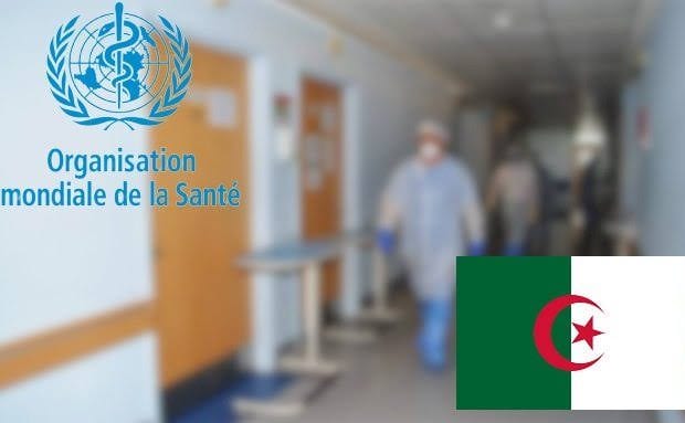 Les prévisions de l’OMS sur l&rsquo;évolution du coronavirus en Algérie