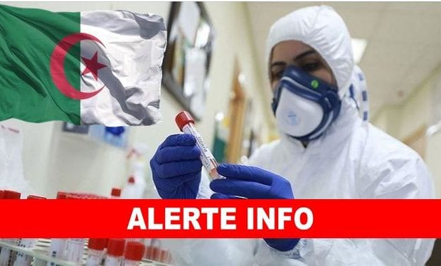 Coronavirus Algérie : La barre des 12.000 cas infectés franchie au bilan du 23 juin