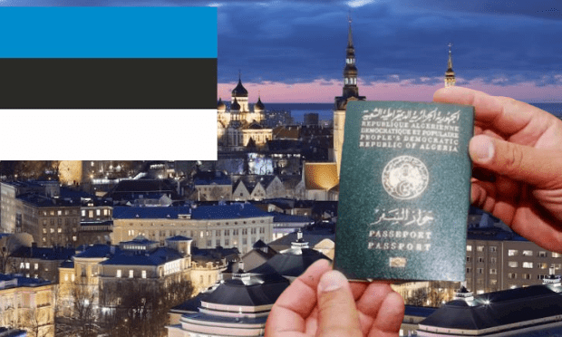 Estonie : Vers la création d&rsquo;un nouveau type de visa