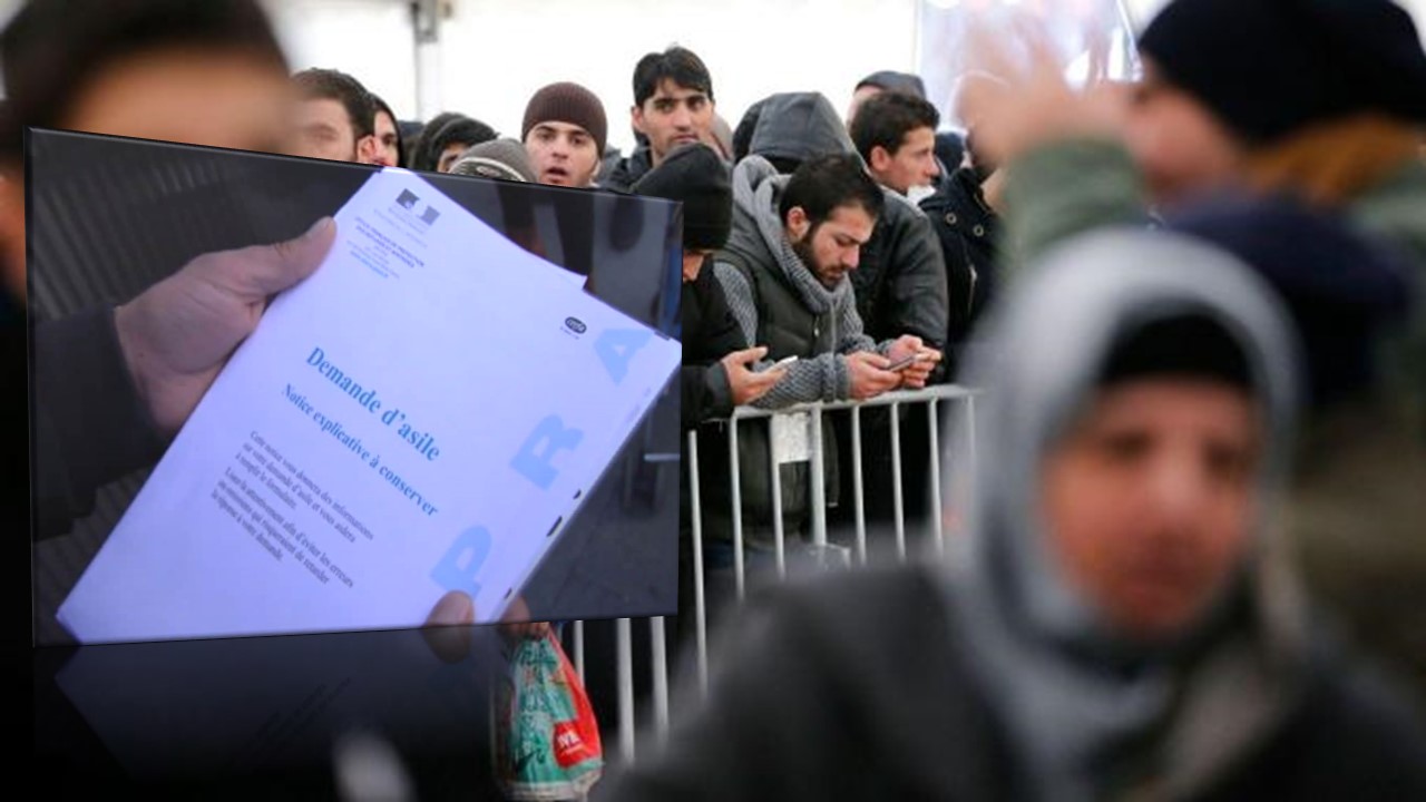 Demande d’asile en Europe : Voici le nombre des Algériens ayant postulé en 2020