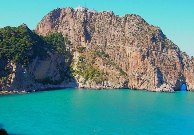 Béjaïa : Réapparition d’une espèce d’oiseau rare sur le mont Gouraya