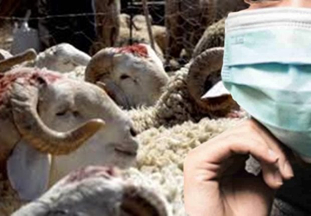 Coronavirus : vers des « mesures strictes » pour les deux jours de l’Aïd