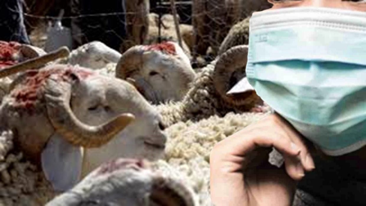 Coronavirus : vers des « mesures strictes » pour les deux jours de l’Aïd