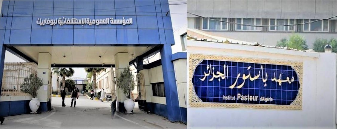 EPH Boufarik : « Les résultats du dépistage Covid-19 arrivent au bout de 8 à 9 jours » (Dr Yousfi)