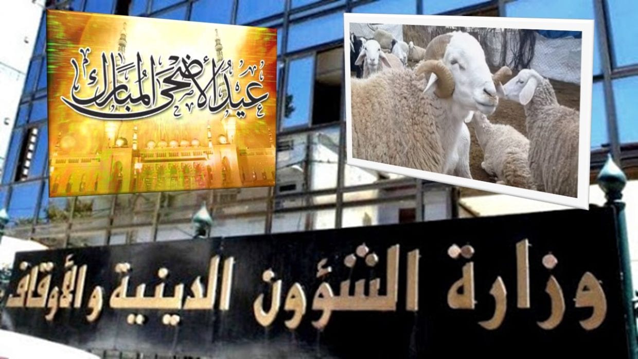 Célébration de l’Aïd El Adha : Voila ce qu’a décidé la commission des Fatwa