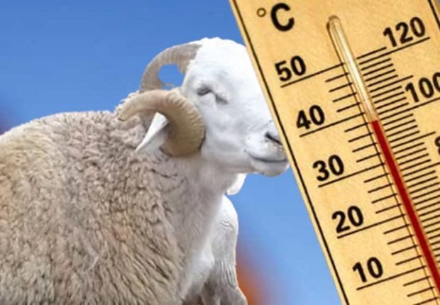 Météo : Forte vague de chaleur pour les deux jours de l’Aïd