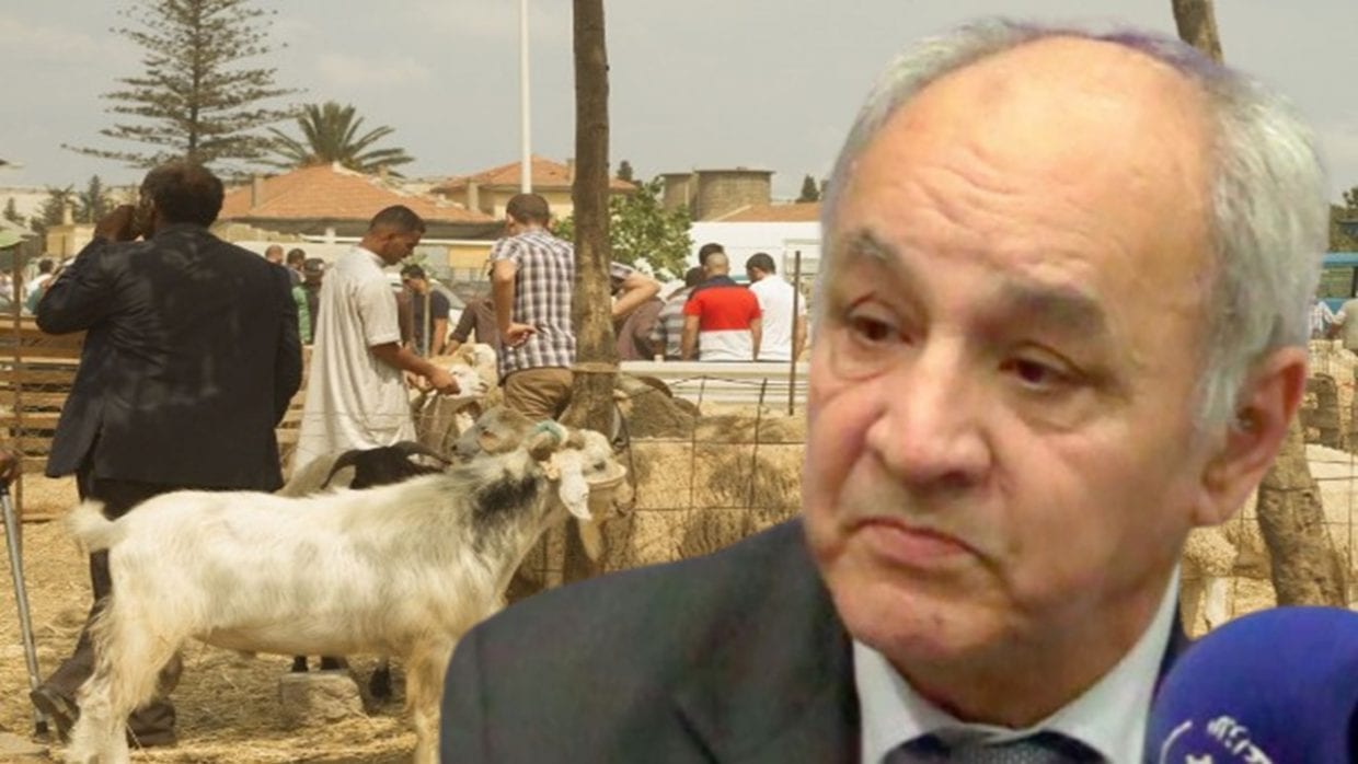 Aïd El Adha 2020 : Ce qu’a dit Bekkat Berkani à propos du rituel du sacrifice