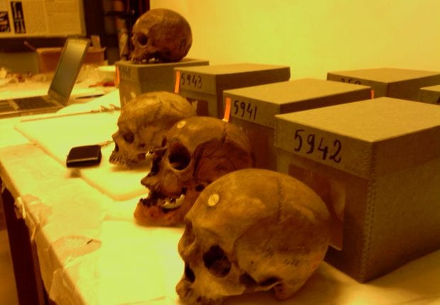 Voici la liste des crânes des résistants restitués