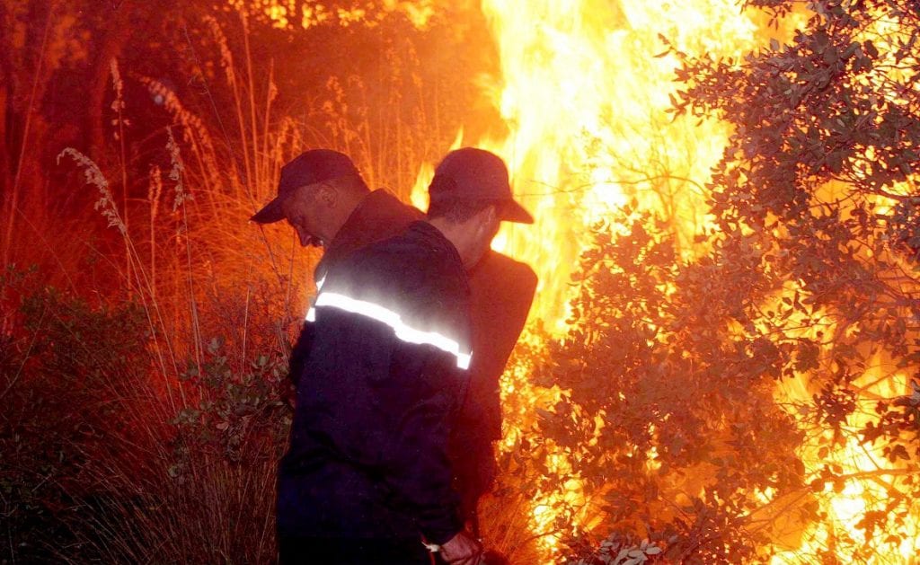 Béjaïa : une quinzaine de départs de feu en 24 heures