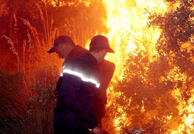 Béjaïa : une quinzaine de départs de feu en 24 heures