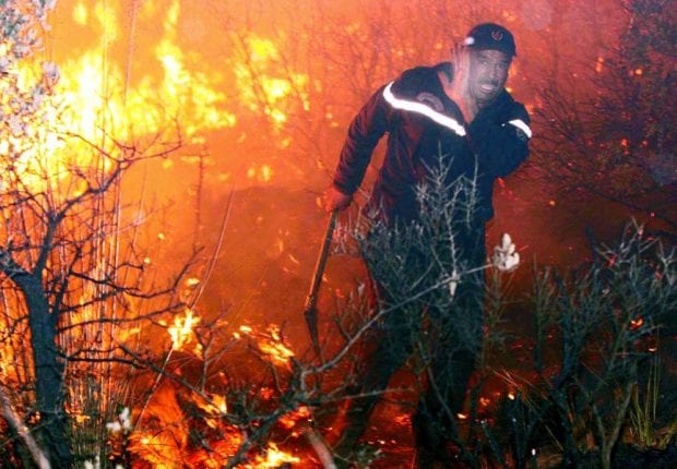Algérie : 66 feux de forêt enregistrés dans 20 wilayas en 24h !