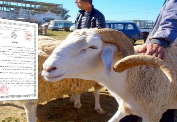 Vente de bétail : la wilaya d’Alger annonce de nouvelles mesures  