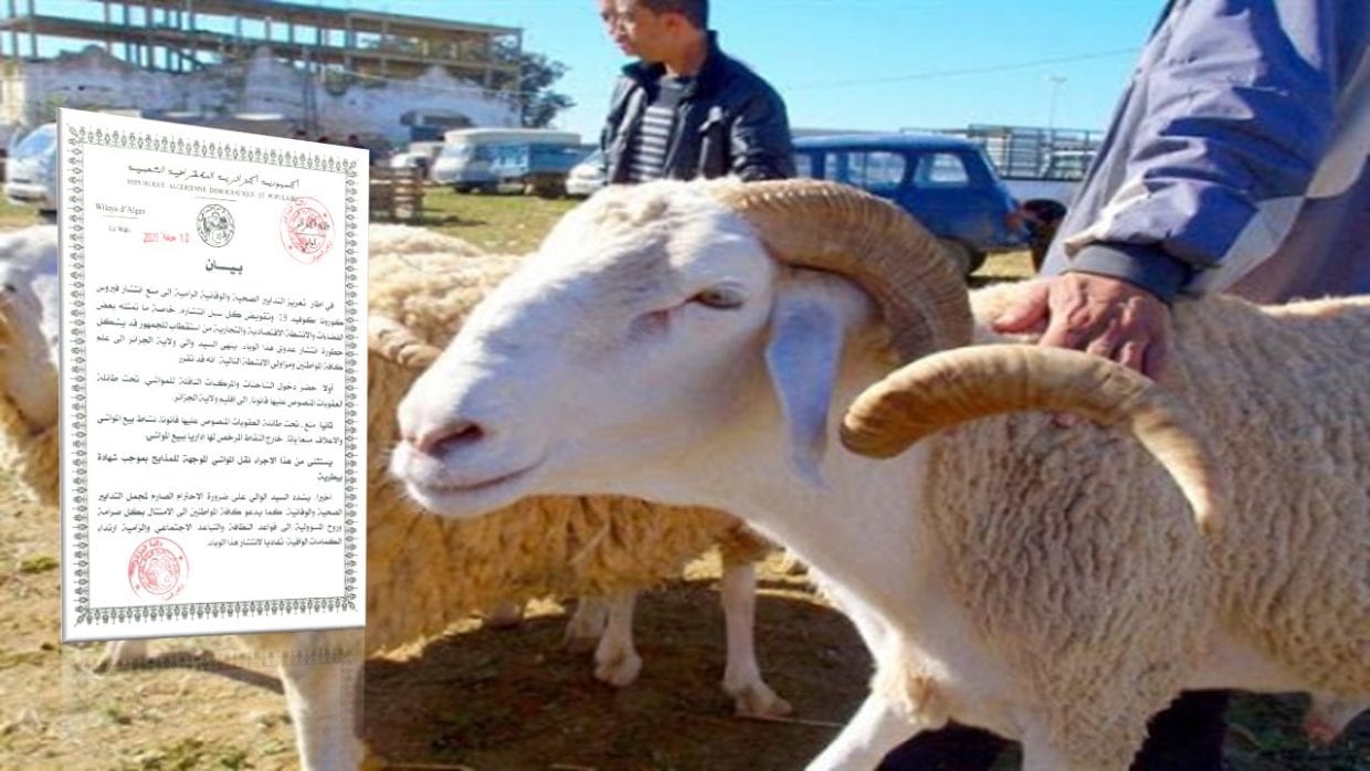 Vente de bétail : la wilaya d’Alger annonce de nouvelles mesures  