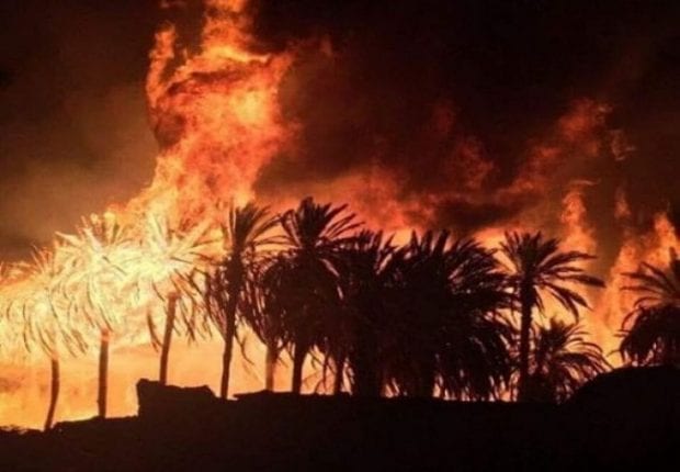 Ouargla : Un incendie ravage une palmeraie au quartier Ifri