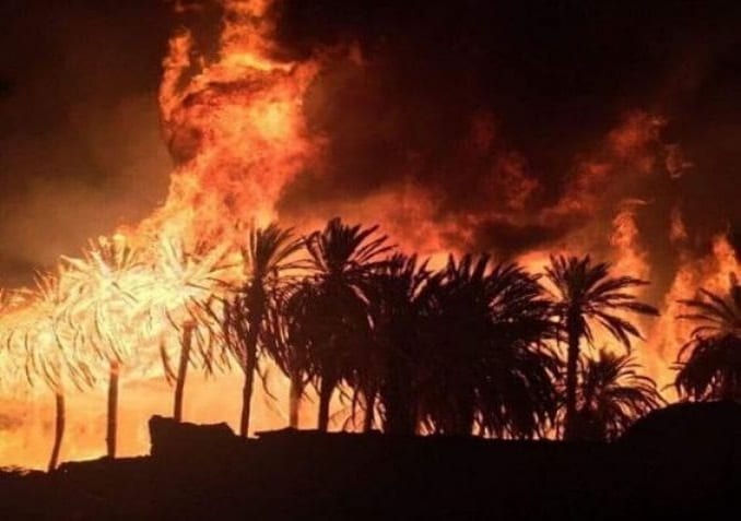 Ouargla : Un incendie ravage une palmeraie au quartier Ifri