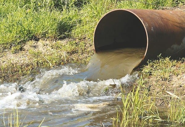 El Tarf : Oued Seybouse à la limite de la catastrophe écologique