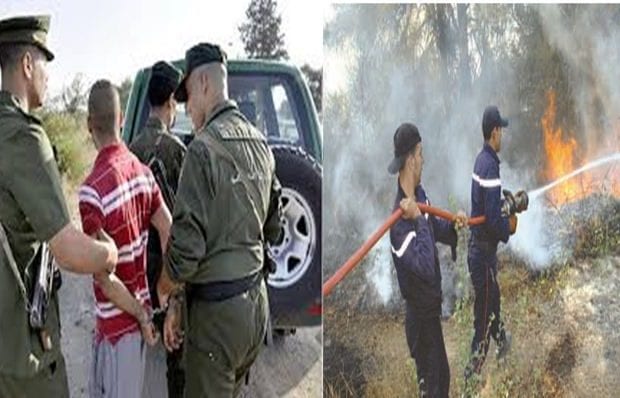 Feu de forêt à Chlef : Arrestation de cinq individus