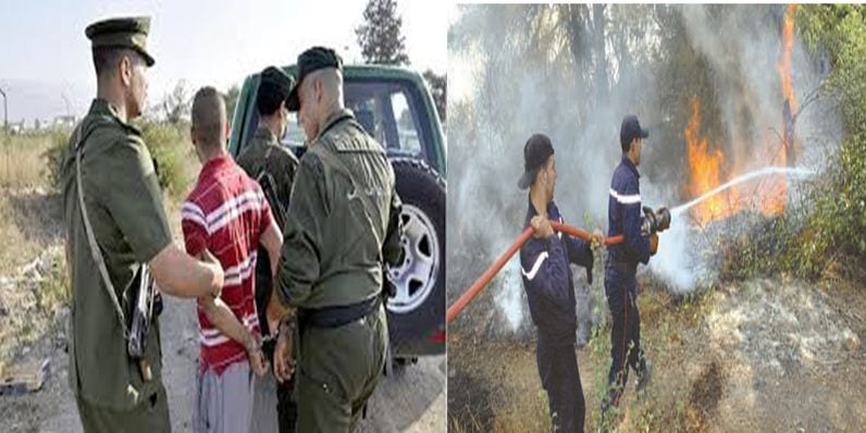 Feux de forêt à El Taref : Six suspects arrêtés